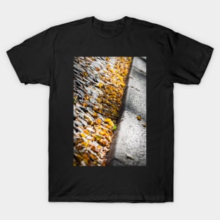 Fallen Leaves T-Shirt